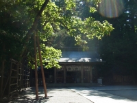 強運が...